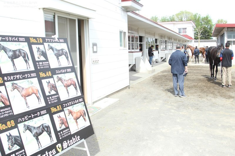 TOKYOレガシーハーフ下見ジョギング 国立競技場駅A2出口集合e-moshicom イー・モシコム