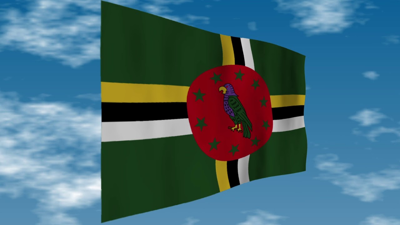 国旗でバードウォッチング – 京都鳥日和