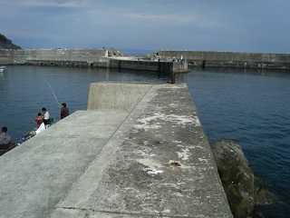 真鶴半島の釣り場情報魚速報