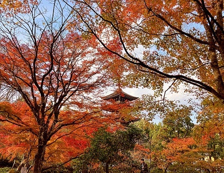 鳴子温泉の楽しみ方 自然鳴子温泉観光協会公式ホームページ