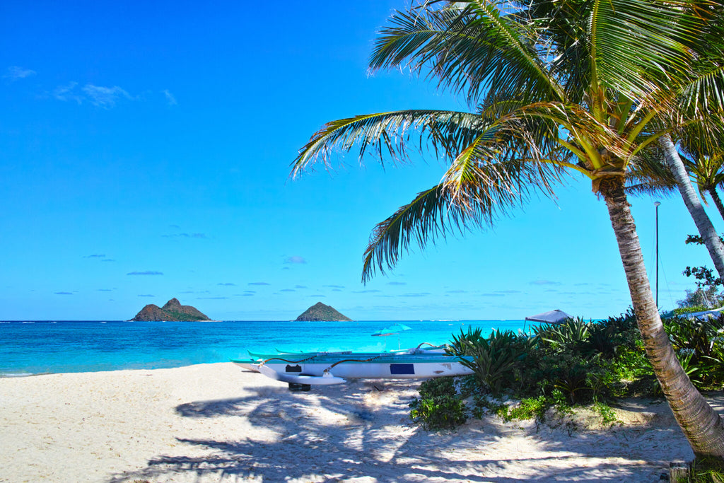 イルカはハワイ語でNai'a ナイア と呼ばれています。ナイアは、海の守り神であると考えられているホヌ ウミガメ とともに、海にすむ神々のひとつで海から幸運を運んできてくれると言われているんですよ🐬音の響きが可愛らしいので、女の子の名前にも使われています