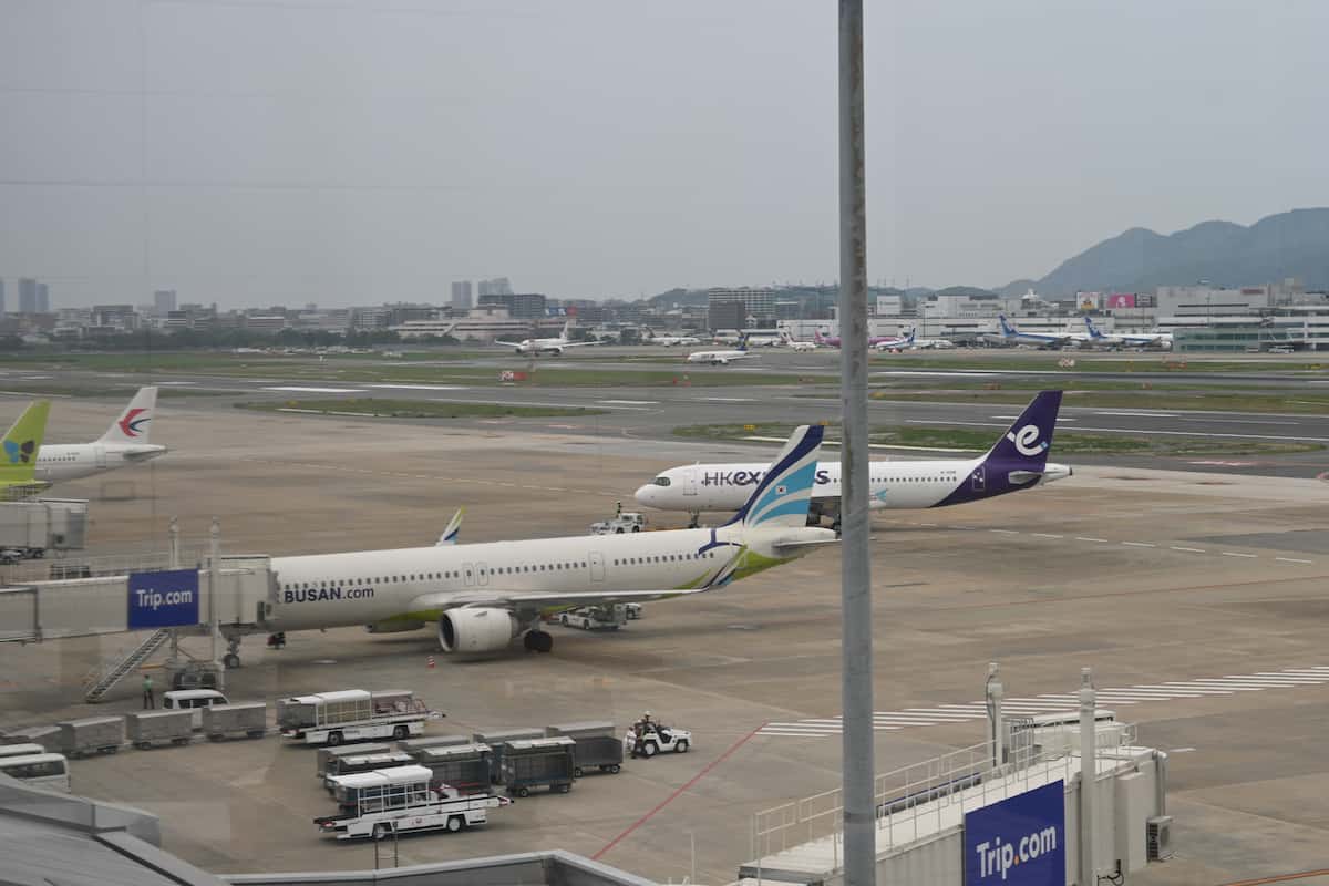 23,246 海外旅行 日本人 女性 Stock