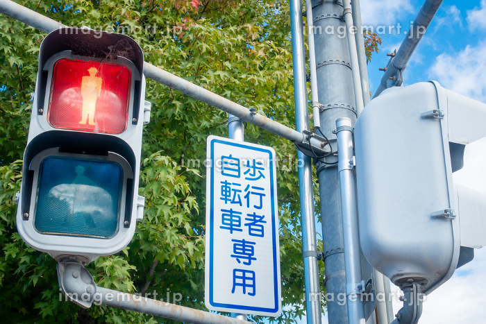 どっちを見るのが正解？ 自転車運転時の信号機バイクのニュース