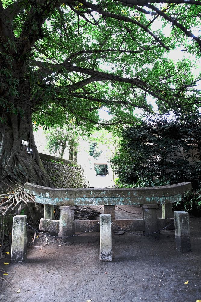 黒神埋没鳥居 アクセス・営業時間・料金情報 - じゃらんnet