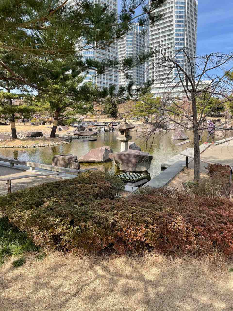 多摩川隠れ家フレンチ トキオプラージュ・ルナティック - 多摩川を愛でる会通信