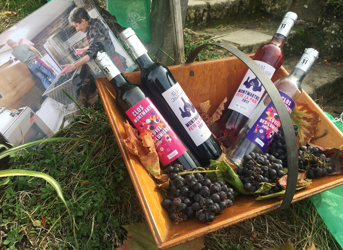 パリ、モンマルトルにあるぶどう畑をご存知ですか？「ブドウ収穫祭2018」