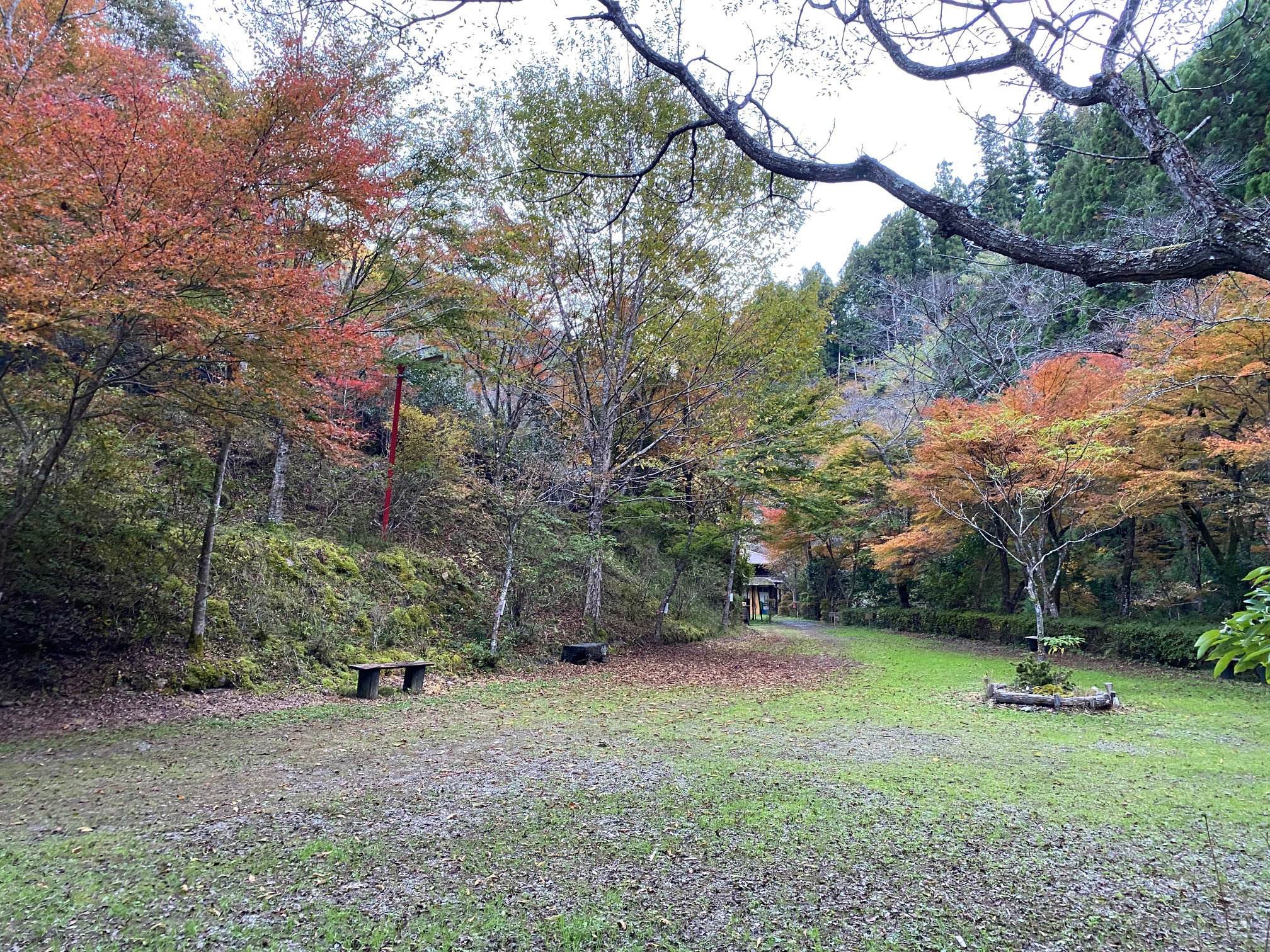 一日の過ごし方one FRIT CAMP FIELDは浜松市舘山寺にある「浜名湖」に接するオートキャンプ場