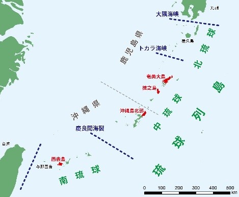 奄美大島への行き方東京・大阪・名古屋・福岡・鹿児島からのアクセス方法アクティビティジャパン