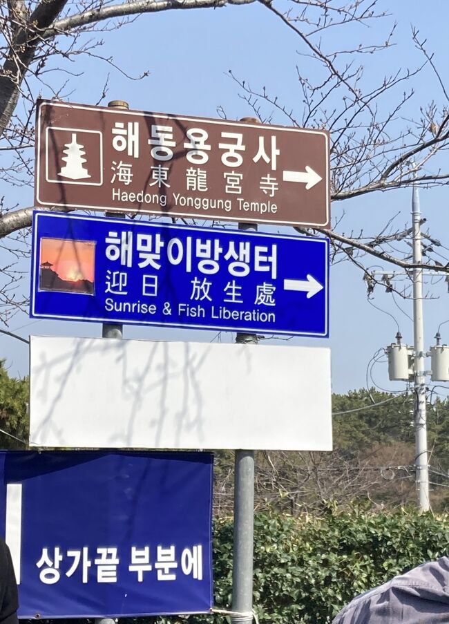 釜山1日目 人気の海東龍宮寺・海雲台ブルーラインを観光！サムギョプサルのお店「후발대 フバルテ 」は有名店だった!!!パイロットの旦那観察日記
