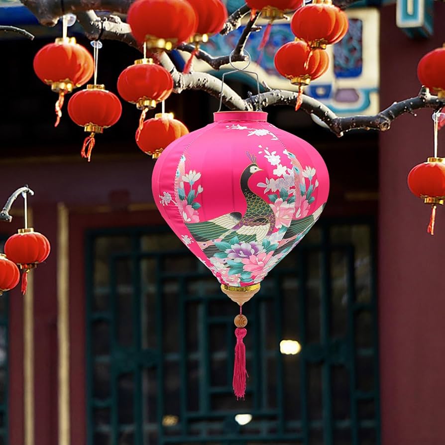 Amazon.co.jp : NUSITOU