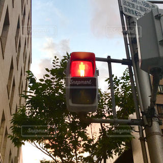 自転車 じてんしゃ は便利 べんり ！日本