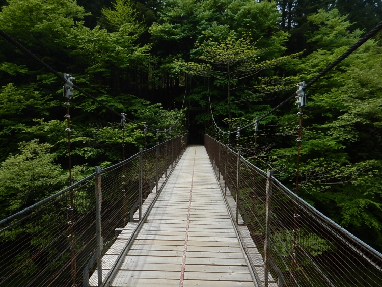 昼景東京の秘境、奥多摩は夜景も神秘的。留浦の浮橋絶景アイランド