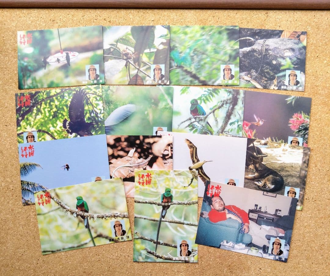 ㅤ ㅤ ○━○ ○ ○━○