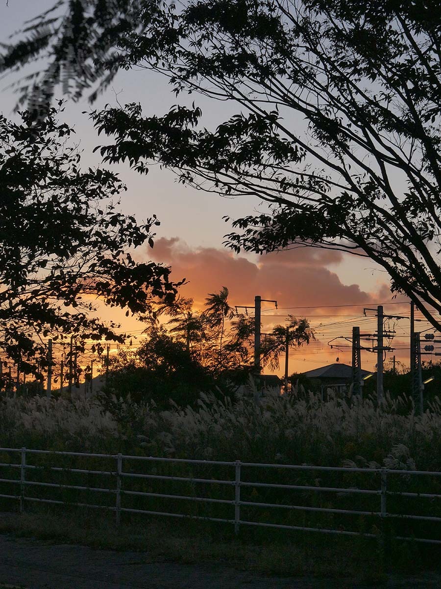 鳥栖市で防災ヘリの山岳救助訓練 2021年6月8日