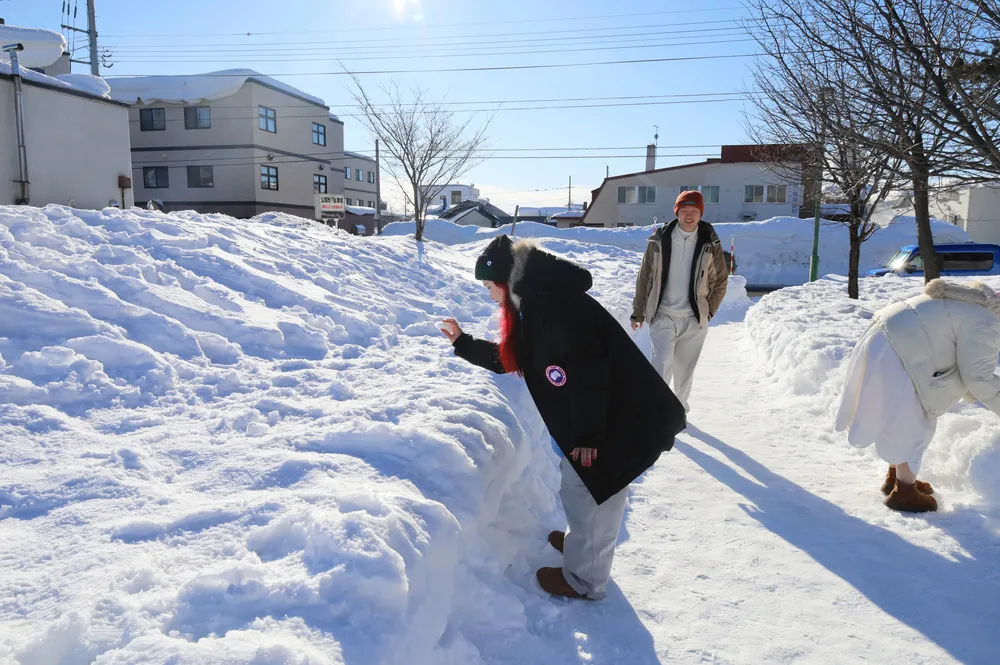 岩見沢地区を走った国鉄バス路線