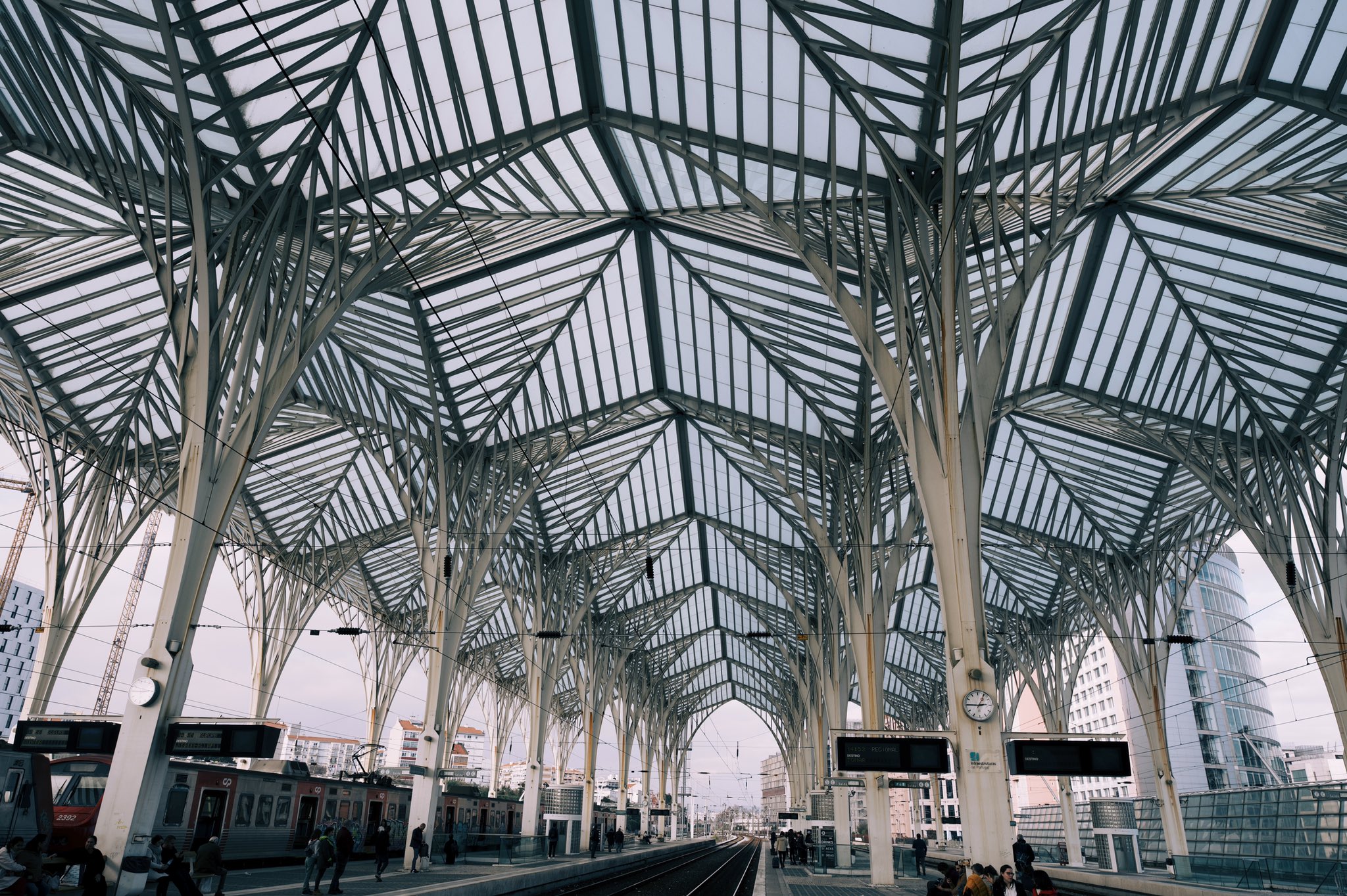 納涼・サンティアゴ・カラトラバ特集①：ついに見た、AI画像のようなバレンシア「芸術科学都市」BUNGA NET