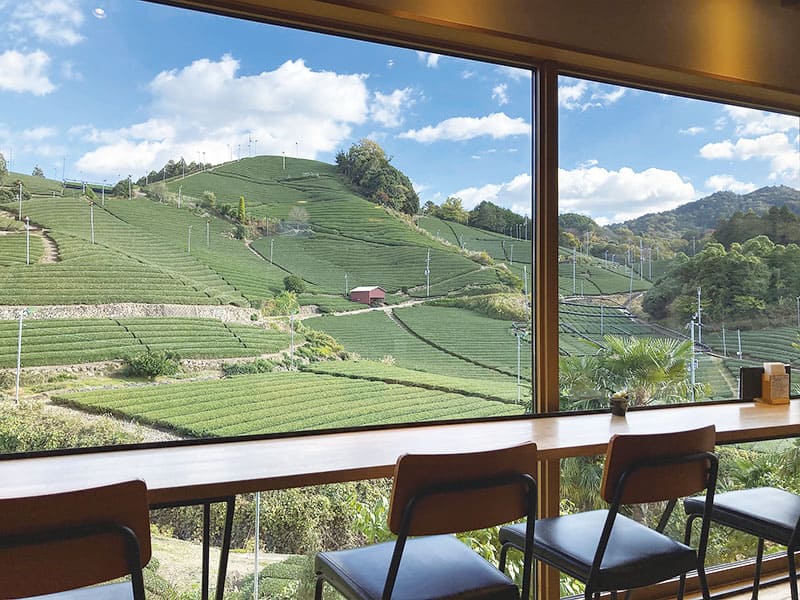 奈良南部の里山で、大満足の月替りランチとフォトジェニックなスイーツを「MARUIKE cafe 」ことりっぷ