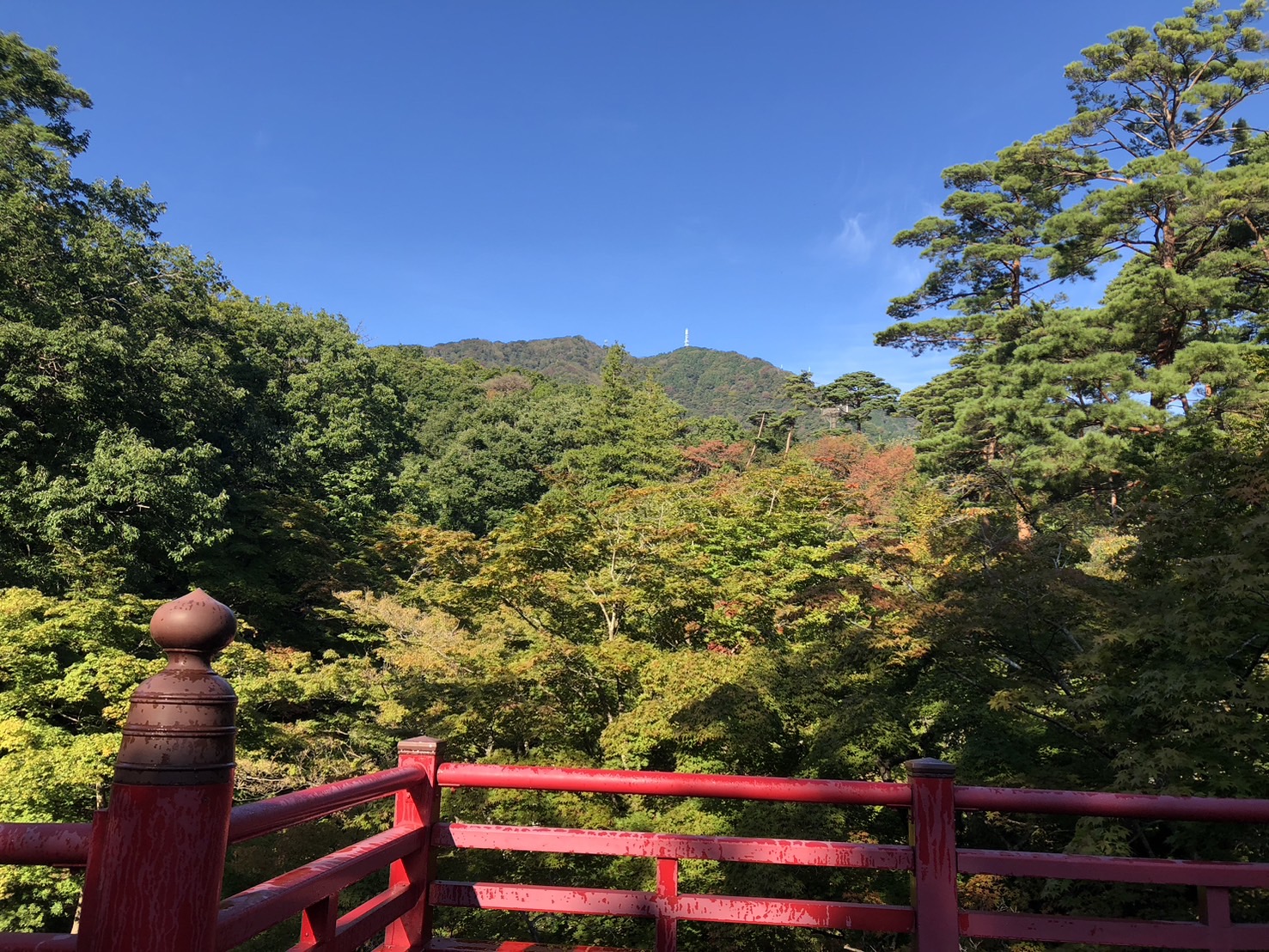 2024年 弥彦公園もみじ谷ライトアップ！紅葉の見頃・アクセス・駐車場情報まとめ - Gate