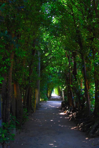 ケアンズの離島6選 グリーン島が圧倒的に有名ですが、 他にもユニークな島々が点在するケアンズ🏝️ グレートバリアリーフの離島で夏休み☀️○○○○○○○○○○○○○○○○○○○○○○○○○ オーストラリアに行ったことある？