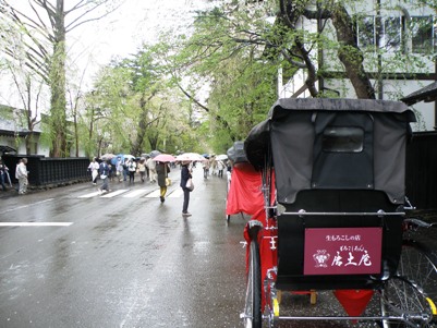 武家屋敷と人力車 Kakunodate,Akita 人力車に揺られて角館の町を。 角館にも、いよいよ桜の季節がやってきます。