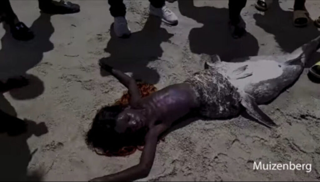 人魚の腐乱死体”が発見される？見るも無残なグロすぎる姿に戦慄＝英ｰオカルトニュースメディア トカナ