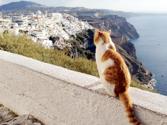 日本にもエーゲ海があった?!ギリシャのリゾート気分が味わえるスポットANA