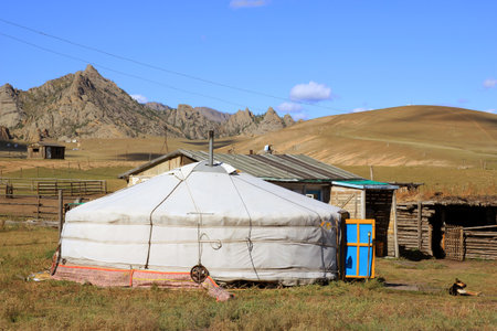 株式会社LOSSLOSSは輸入貿易から卸売・販売まで展開しています