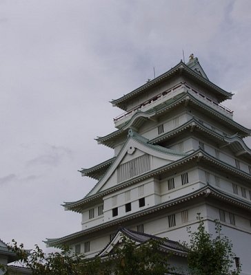 突撃イバラキ＞水戸のトランプ城 消えた「お化け屋敷」：東京新聞デジタル