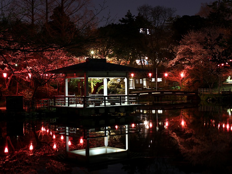 写真 高岡七夕まつり2021 七夕と万葉線のコラボVR:北陸