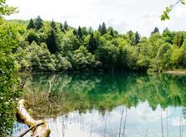 プリトヴィツェ湖群国立公園のガイドブッククロアチア旅行専門・クロアチアツアーズ