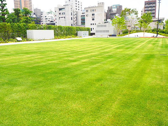 南池袋公園を満喫する方法！壁の絵本や遊具、カフェ、増設したトイレなど│池ぶく郎