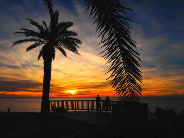 道の駅」フェニックススポット・体験公式 宮崎市観光サイト