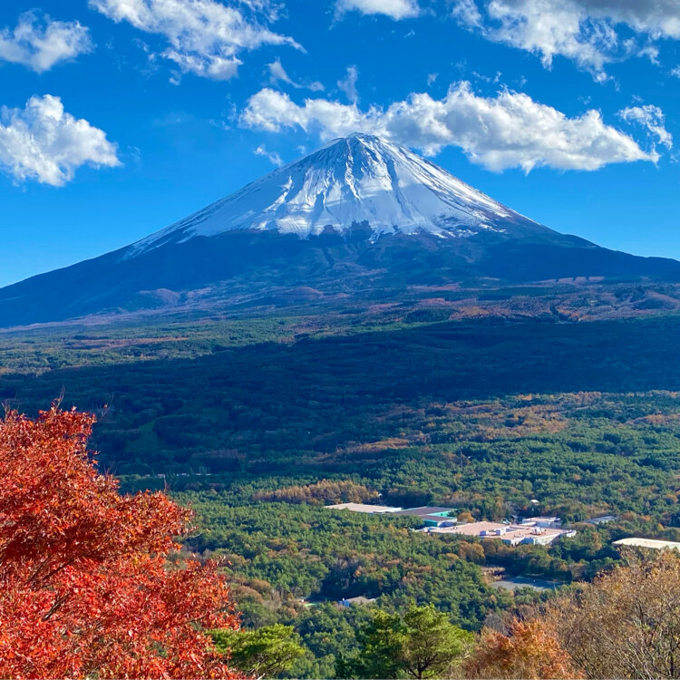 富士山×紅葉！山梨・鳴沢村「紅葉台展望レストハウス」へハイキング山梨県トラベルjp 旅行ガイド