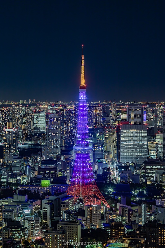 東京タワー 前編 」夜景写真家が選ぶオススメ撮影スポットVol.4GOOPASS TRAVEL MAGAZINE