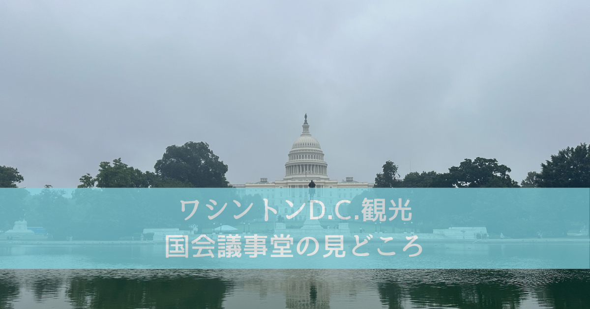 ニューヨークとワシントンDCは観光名所もテレビや雑誌で有名なスポットがありすぎて時間が足りません！たびこふれ