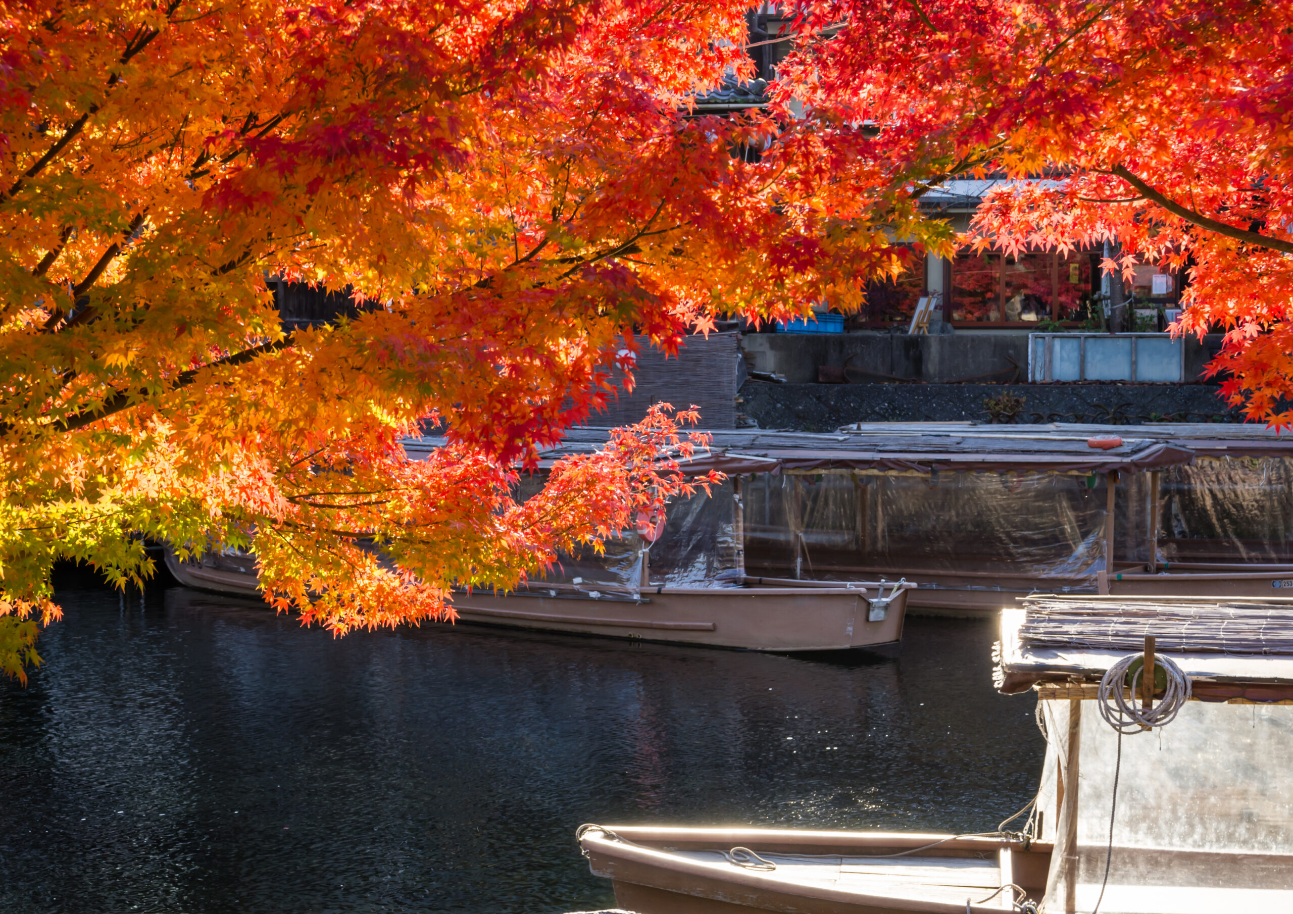 宇治川観光通船 – 喜撰茶屋-kisenchaya