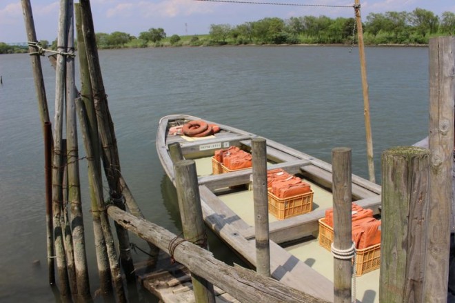 東京都葛飾区柴又7丁目の江戸川河川敷にある矢切の渡し 柴又側 乗り場方面の写真素材94905452- PIXTA