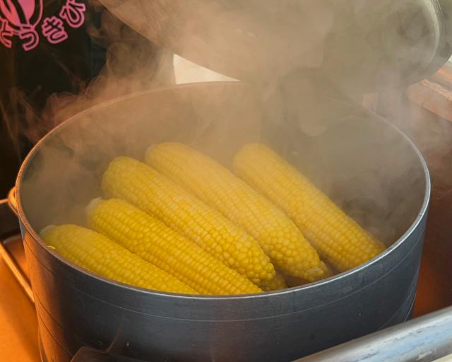 大通とうきびワゴンまっぷるウェブ