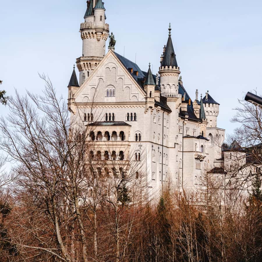 ノイシュヴァンシュタイン城ボードゲーム ボキャブラリーキャッチャー 英語エキスパート編 -