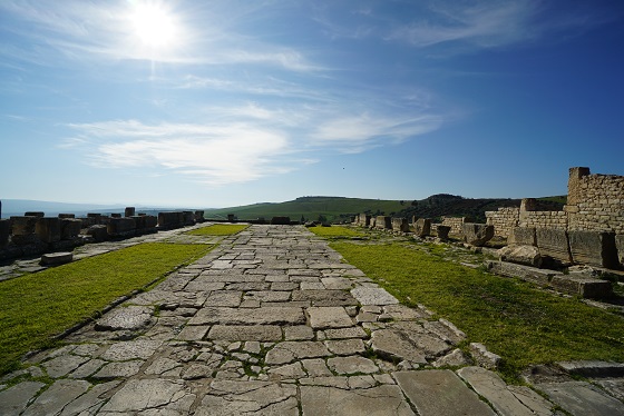 世界遺産ドゥッガ遺跡＆ブラ・レジア遺跡 日帰りツアー ローマの軌跡を辿る