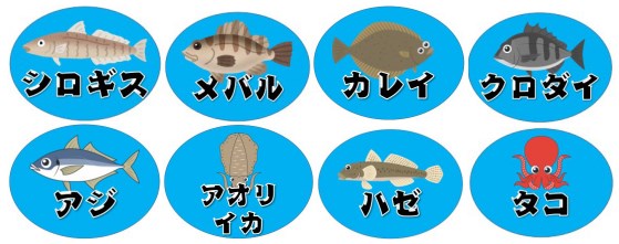 愛知県 知多市 豊浜海釣り公園でサビキ釣り！ 大型のサバにより大きな学びをした釣りでした 笑