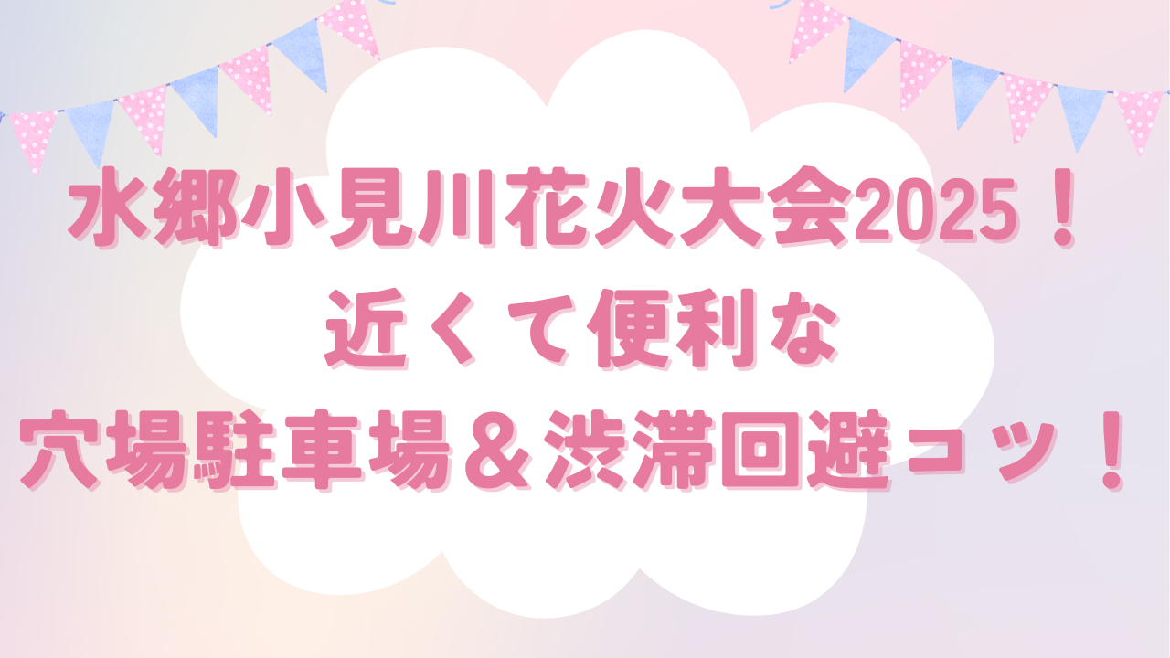2024年 江戸川区花火大会の混雑状況は？駐車場やアクセス方法も！ -