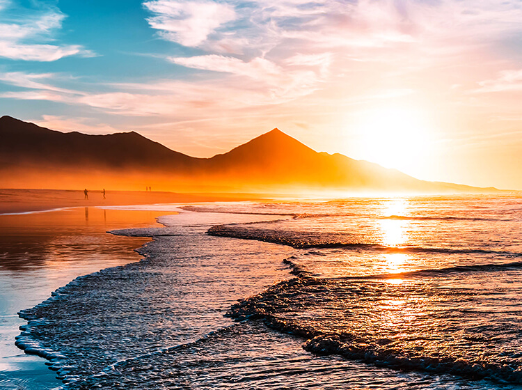 焼野海岸！お魚祭り！鋭利な歯にご注意！釣具のポイント