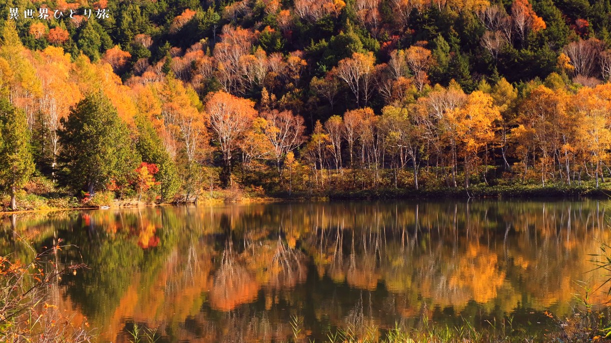 写真家応援 目の前が紅葉や霧氷の撮影スポット！ご自身でRAW現像する方は対応PCご利用可 2食付＜志賀高原＞石の湯温泉 石の湯ロッジ