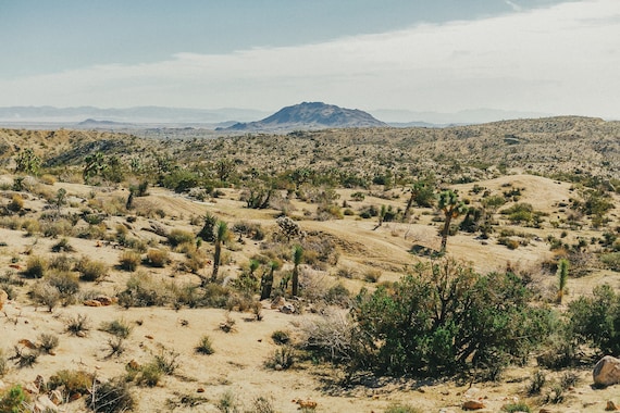 ふたつの砂漠が出会う場所 ジョシュアツリー国立公園へ行ってきたtabirow