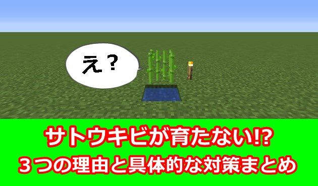 マイクラ 全自動サトウキビ畑の作り方！おしゃれな施設 マインクラフト