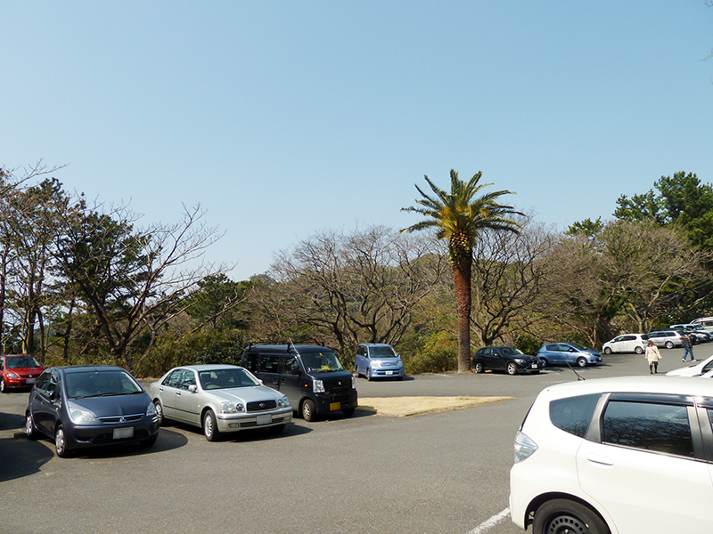 神奈川県真鶴町 『真鶴港』の海釣りガイド 釣れる魚・駐車場・トイレ