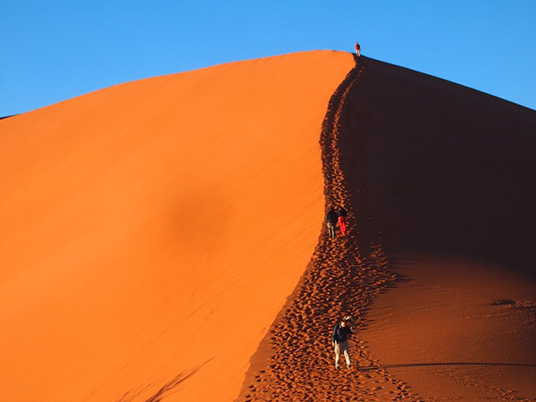 ナミブ砂漠 ナミビアツアー特集海外旅行・海外ツアーの専門店ファイブスタークラブ Five