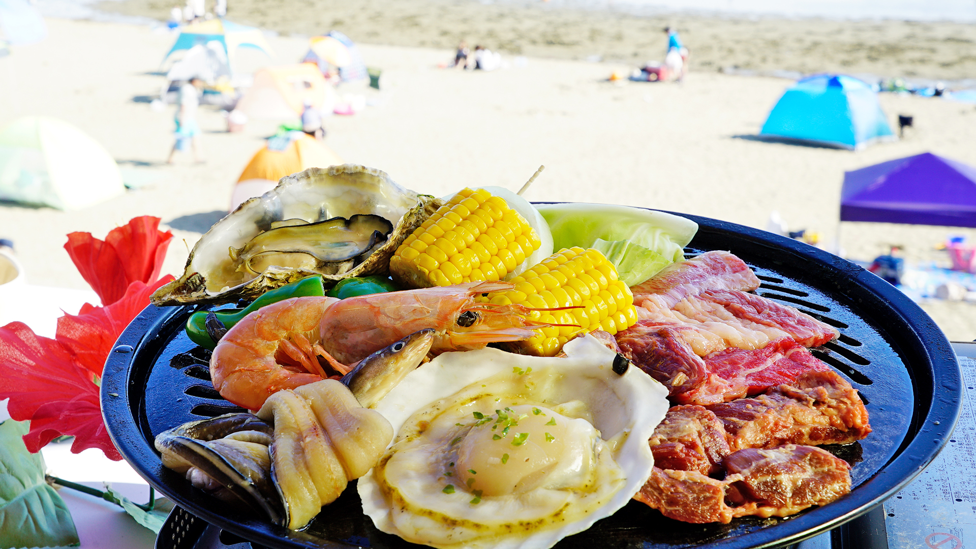 ビーチハウス海岸物語 マスコット - Picture of