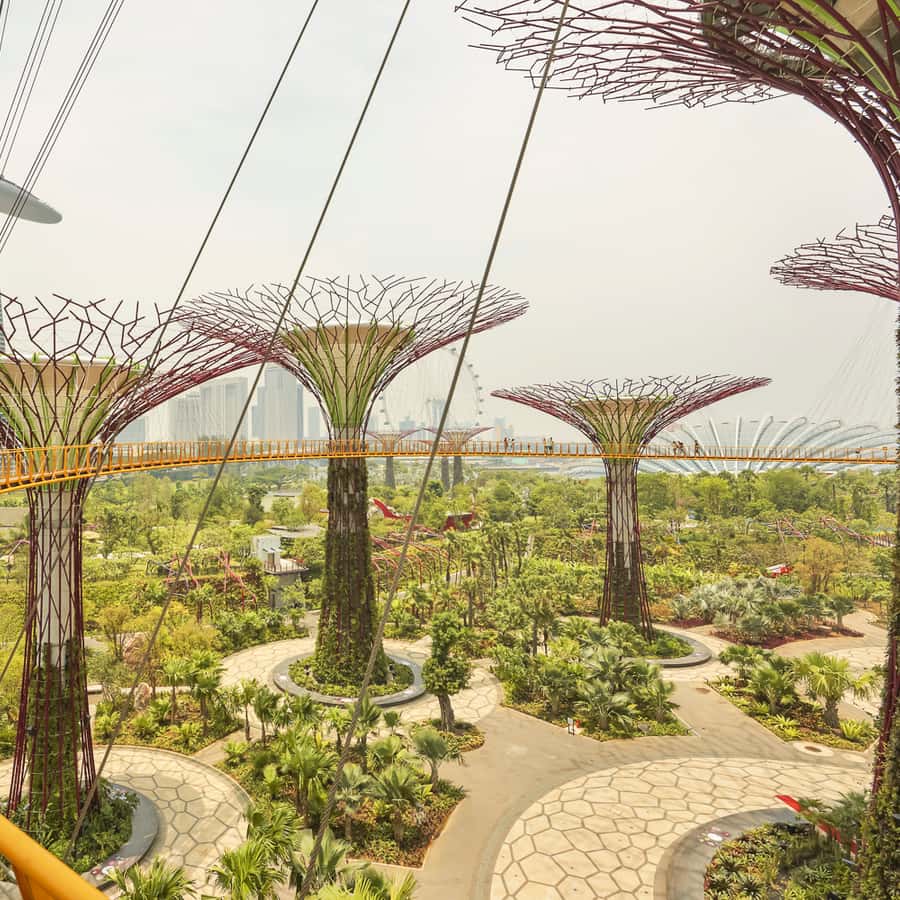 シンガポール ガーデンズ バイ ザ ベイへの優先入場